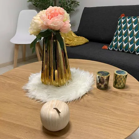 Cosy Duplex Proche Gare Et Hypercentre Apartment *