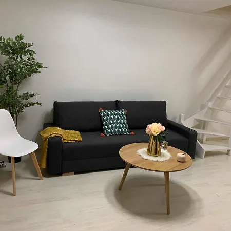 Cosy Duplex Proche Gare Et Hypercentre Strasbourg